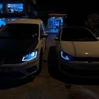 wide_caddy_nick_31