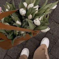 sh_uq01