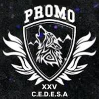 cedesa.prom2025