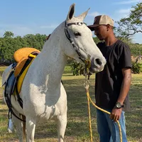 original sound - victor_hugo_libano