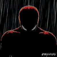 spider_manfan_1