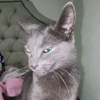 daniela.fuentes2000s