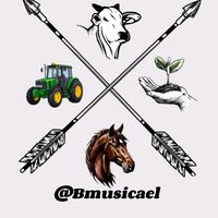 bmusicael