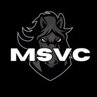 mountsinaicheer_