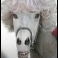 original sound - bibou_43