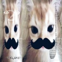 iiluv.vivii