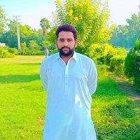 aligill462