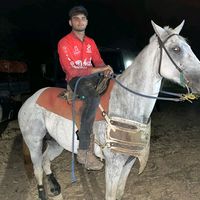 anibalmartinez142