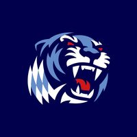 straubingtigersofficial