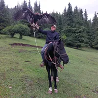 original sound - user_wlad_i_mir