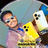 الصوت الأصلي