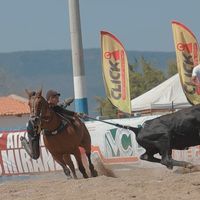 hiammoreira