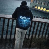 mellow.nyc6
