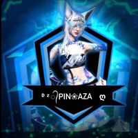 pinaza180