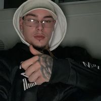 lipizz_01