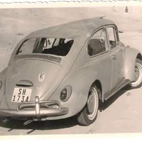 hamed1969p53