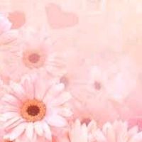pinkfrogzzz