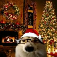 christinebs_