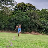.wldopuxao