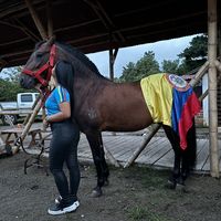 zyj_420