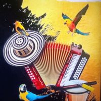 vallenato340