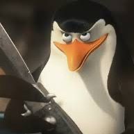kowalski056
