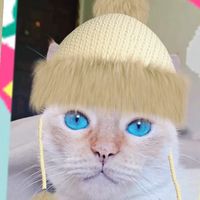 romeu_tiktoker