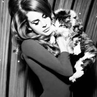 original sound - meg6nfxx