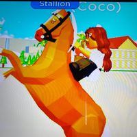 coco_and_coconut_backup