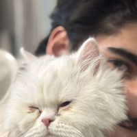 uzair_estix