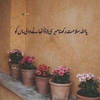 shareeyar455