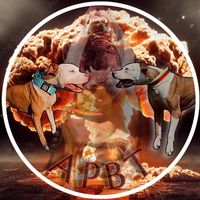 beretta.the.sporting.dog