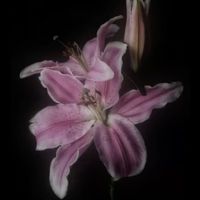 оригинальный звук