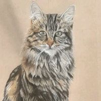 mimisakovaaa