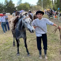 original sound - lauti.lima