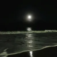 original sound - msckv_