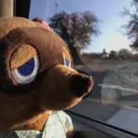 WATCH MY STEP BY DURPO