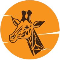 savannafibreinternet