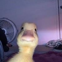 darkinkofficial2
