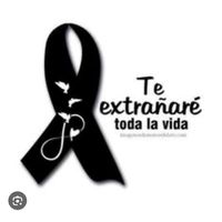 johanabrav__