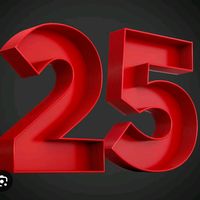 magasin25wholesal