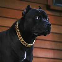 πρωτότυπος ήχος