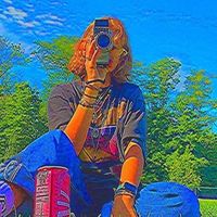 fly_sunlight.29