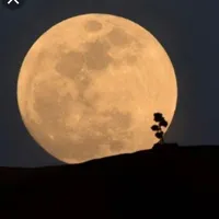 original sound - mimicaro4