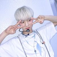 diaryhwa
