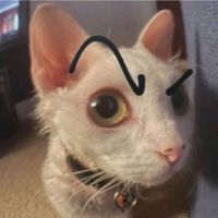 doggoforreal