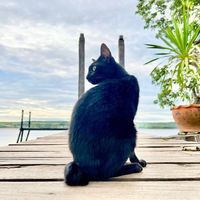 เสียงต้นฉบับ - Khunqri