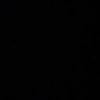 ammar.see