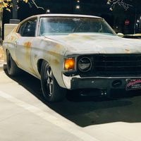 beardedbluecollarbastard