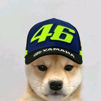 armando.contreras387